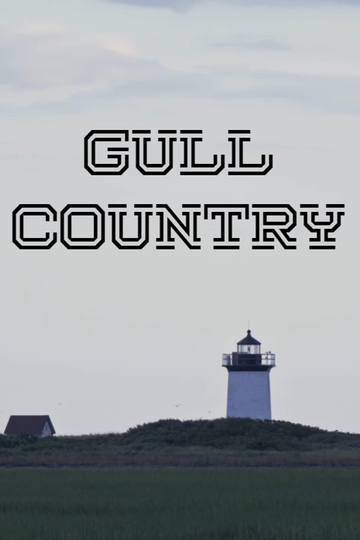 Gull Country Poster