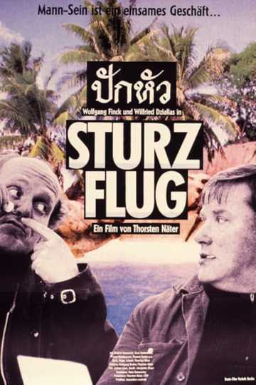 Sturzflug Poster