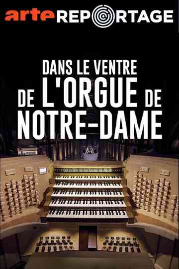 Dans le ventre de l'orgue de Notre-Dame