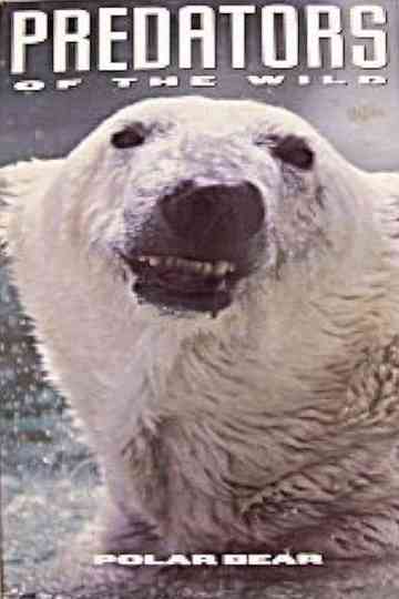 Predators of the Wild: Polar Bear