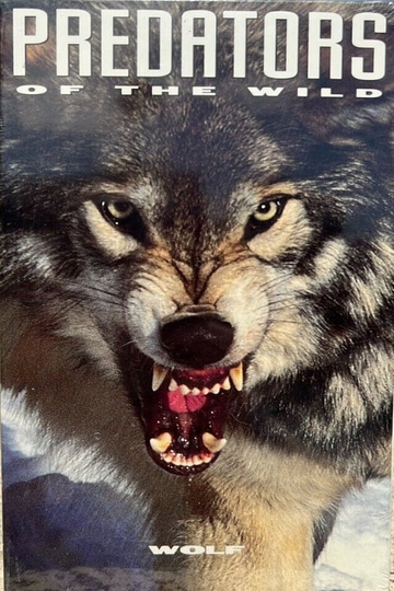 Predators of the Wild: Wolf