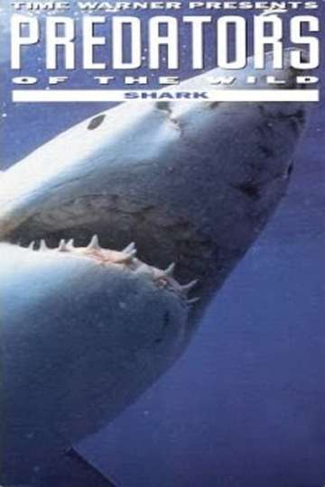 Predators of the Wild: Shark Poster