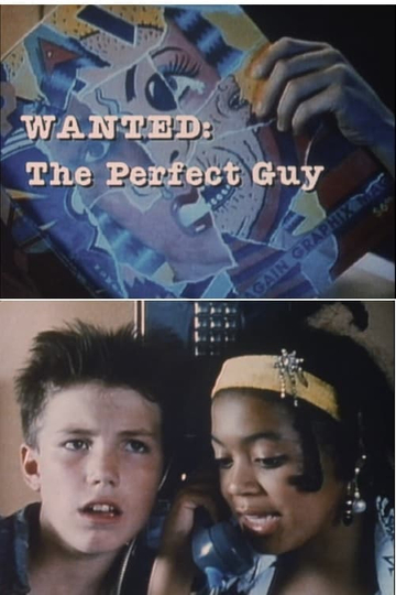 Wanted: The Perfect Guy