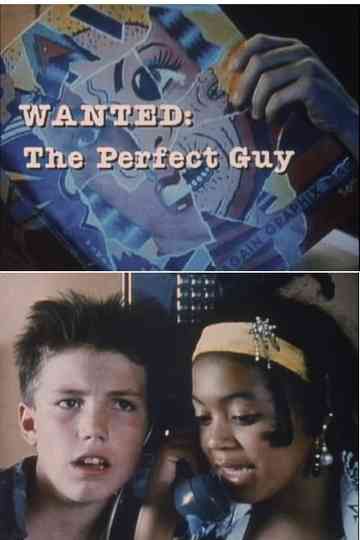 Wanted: The Perfect Guy Poster