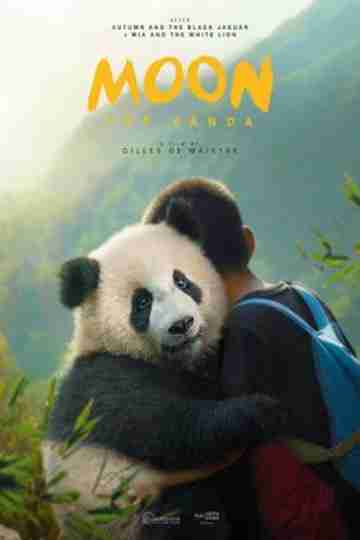 Moon The Panda Poster