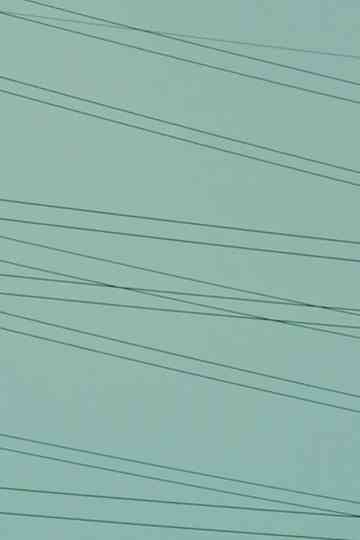 Out of Jungle Poster