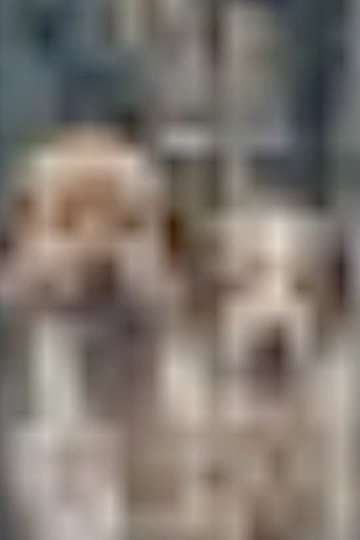The More I Zoom in on the Image of These Dogs, The Clearer it Becomes That They Are Related to the Stars. Poster