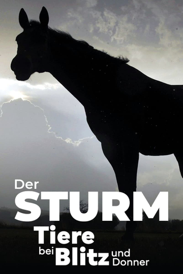 Der Sturm - Tiere bei Blitz und Donner Poster