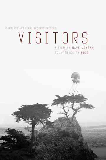 Visitors
