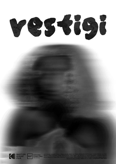 Vestigi Poster