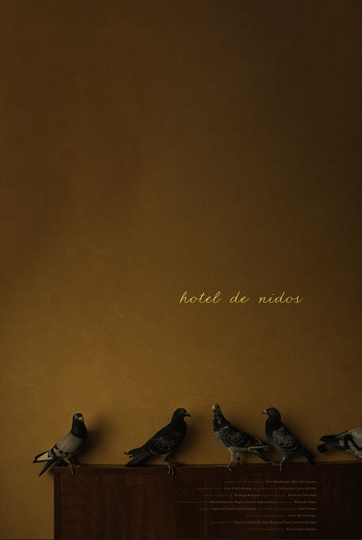 Hotel nests Poster