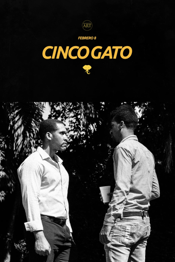 Cinco Gato Poster