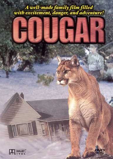 Cougar