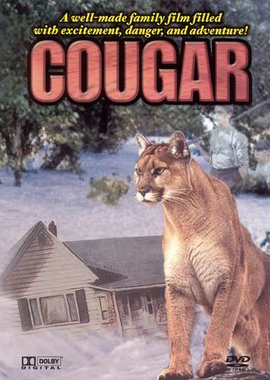 Cougar Poster