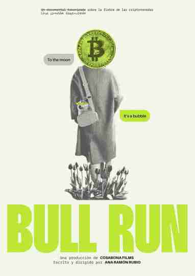 Bull Run Poster