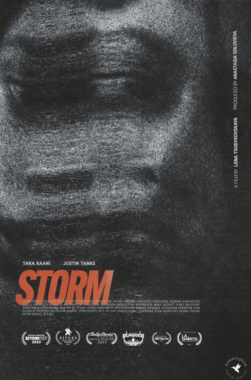 Storm Poster