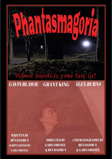 Phantasmagoria Poster