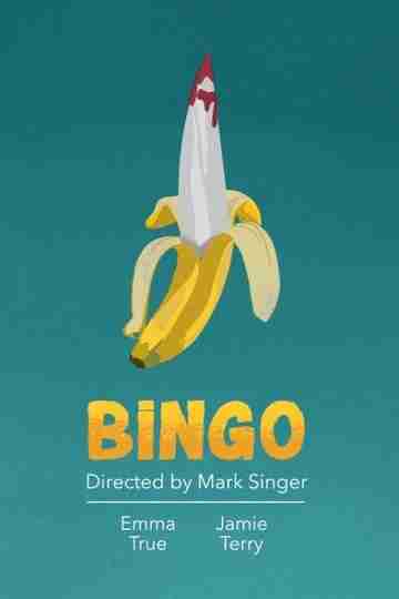 Bingo Poster