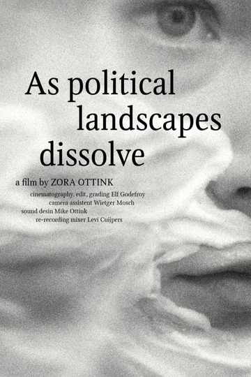 As political landscapes dissolve Poster