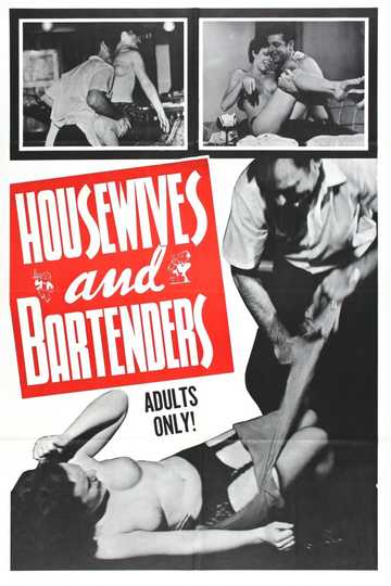 Housewives and Bartenders Poster