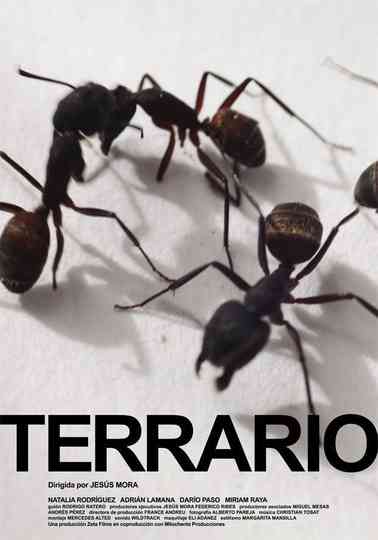 Terrario Poster