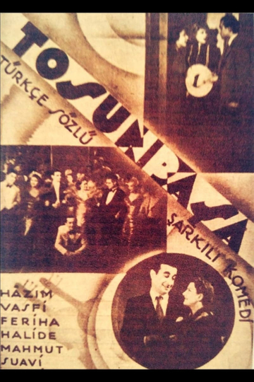 Tosun Pasha Poster