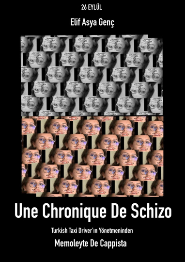 Chronic of Schizo Poster