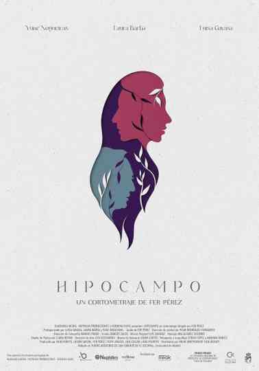 Hipocampo