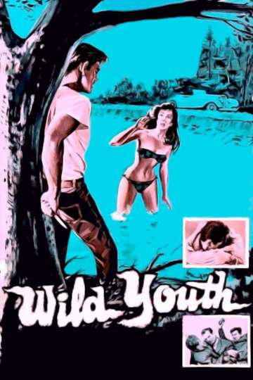 Wild Youth Poster
