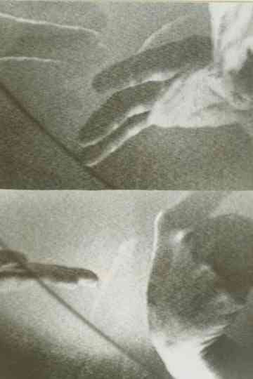 One, Two, Three, Four