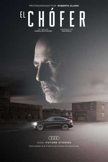 The Driver Poster