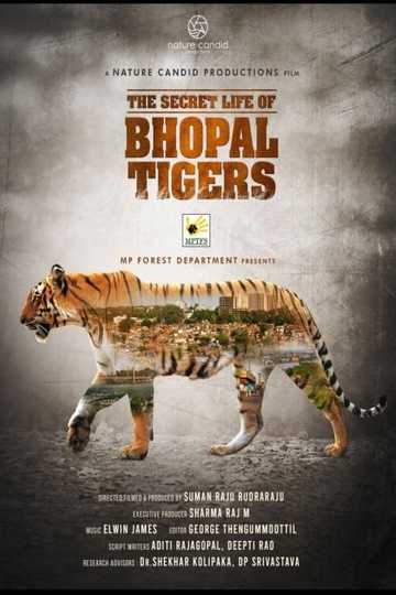 The Secret Life of Bhopal Tigers