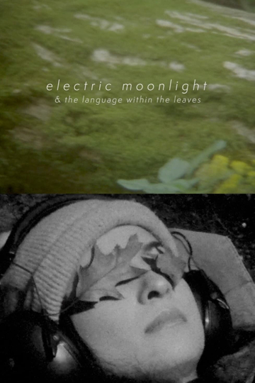 electric moonlight & the language within the leaves