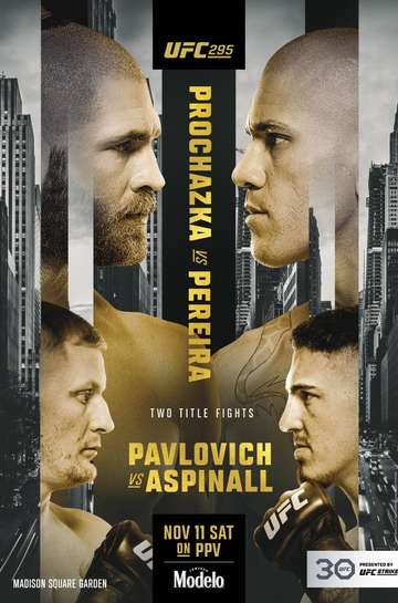 UFC 295: Prochazka vs. Pereira Poster