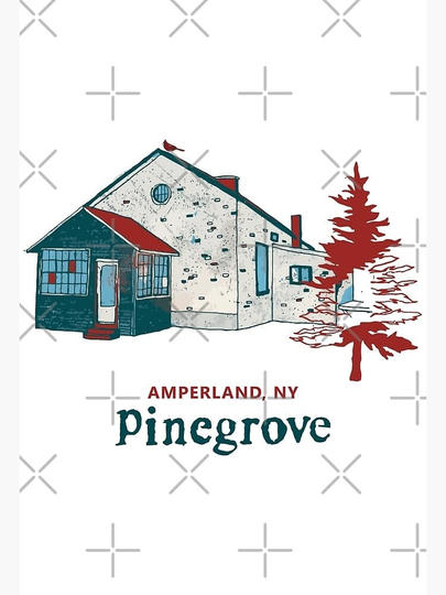 Pinegrove - "Amperland, NY" - The Movie