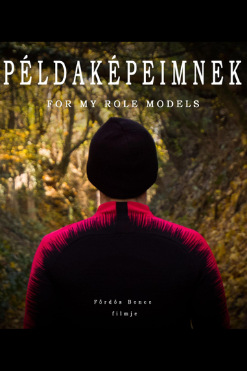 Példaképeimnek Poster