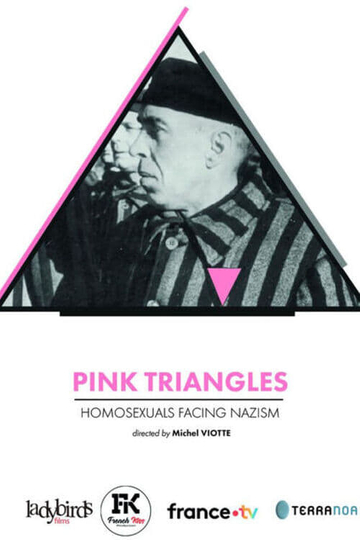 Pink Triangles, Homosexuals Facing Nazism