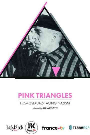 Pink Triangles, Homosexuals Facing Nazism poster