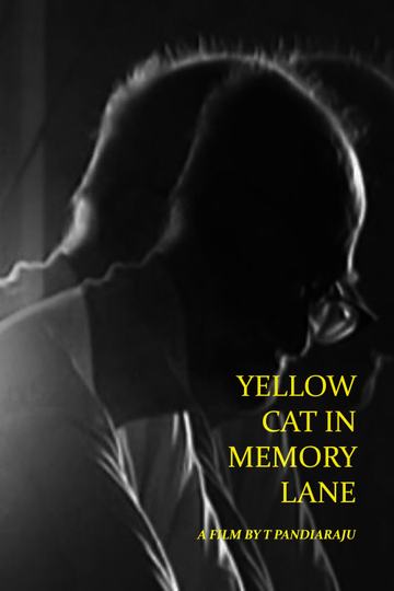 Yellow Cat in Memory Lane Poster