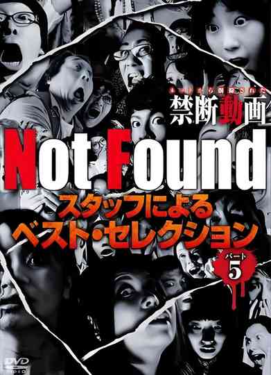 Not Found Poster