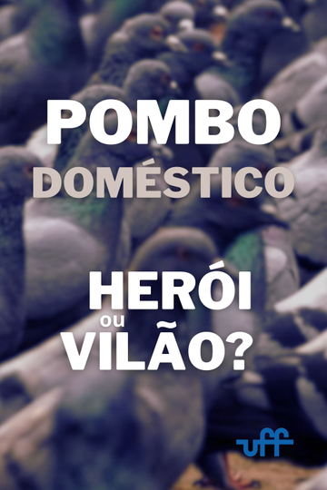 Pombo Doméstico: Herói ou Vilão? Poster