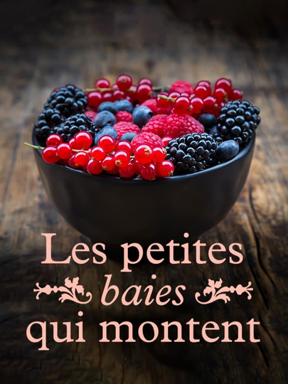 Les petites baies qui montent