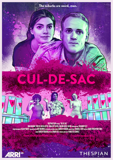 Cul-de-sac Poster