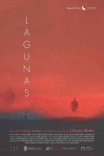 Lagunas