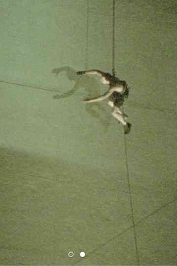 Pichón en el Obelisco Poster