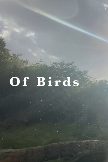 Of Birds Poster