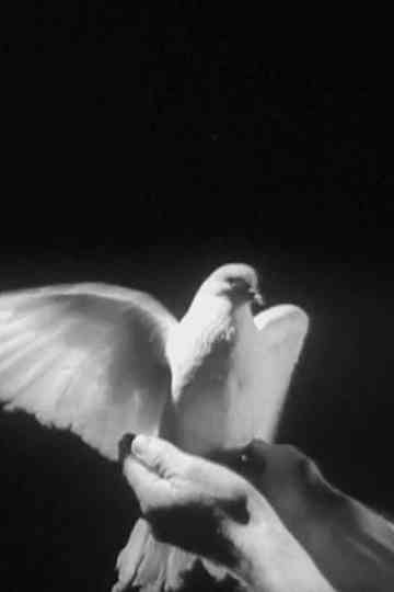 The Butterfly and the Candle Flame Poster