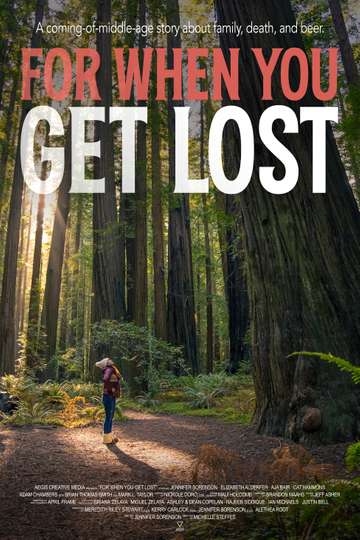 For When You Get Lost Poster