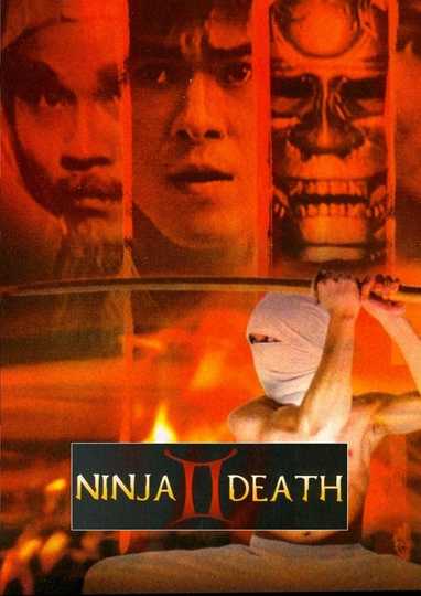 Ninja Death 2