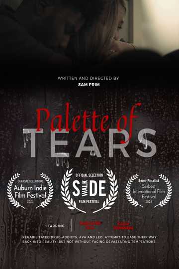 Palette of Tears Poster